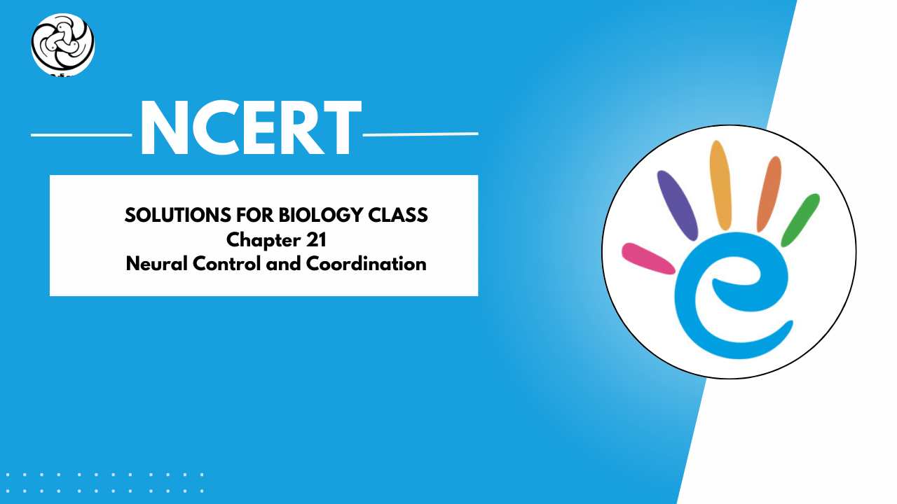 NCERT Solutions Class 11 Biology - Chapter 21 Neural Control and Coordination - PDF Download